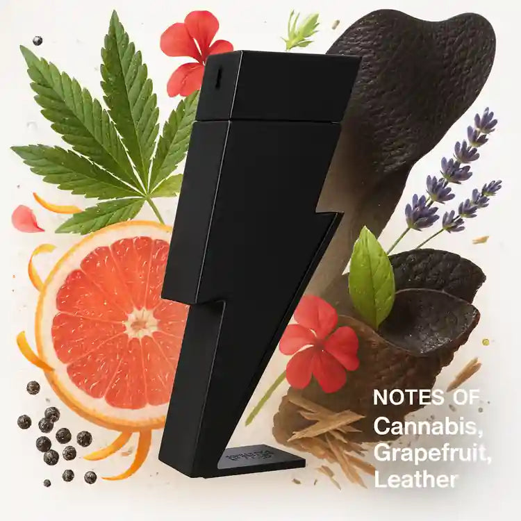 Bad Boy Le Parfum By Carolina Herrera, 3.4 Oz for Men
