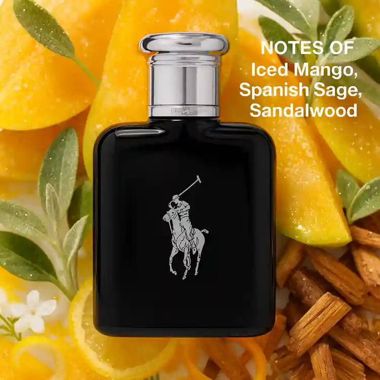 Polo Black By Ralph Lauren, 4.2 Oz Edt for Men